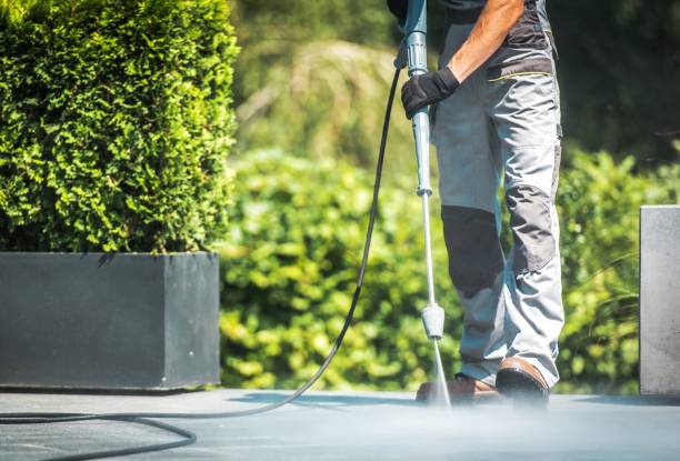 Best Dumpster Area Cleaning  in Roebling, NJ