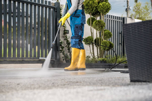 Best Gutter Cleaning  in Roebling, NJ